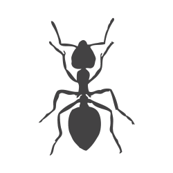 Ant Weight Items
