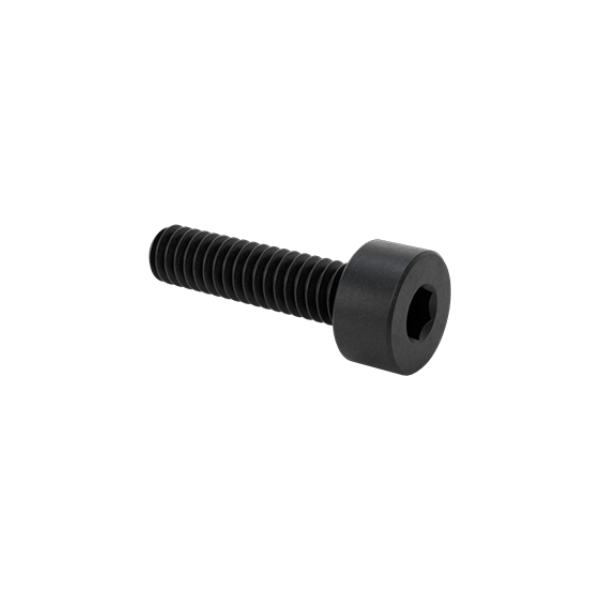 M2 × 8mm Socket Head Screws (Pack of 2)